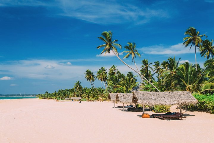 6-Day Private Colourful Tour of Sri Lanka - Photo 1 of 8